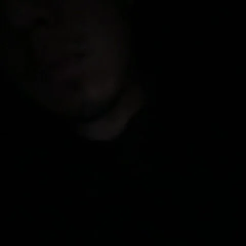 davidisdaddy profile photo