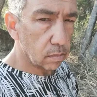 Fisttingslave 的 个人资料图片