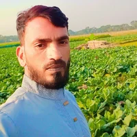 OinkedRuckus Immagine Avatar