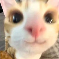Imagem de avatar de x_KaiSer_z