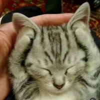 voyeurlover33 - Profil Fotoğrafı