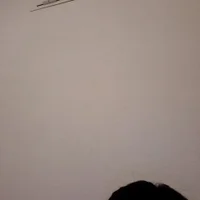 jassi41