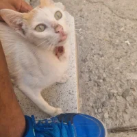 Arij-sexy's Profile Pic