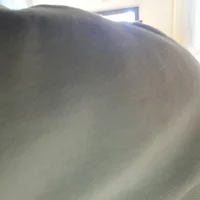 Virgin_Reshu Offline Chatraum