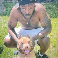 SirUmo's Profile Pic