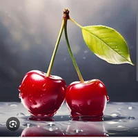 Sherri-on-top 头像图片