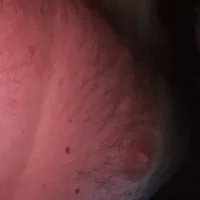 hotdog4you2 頭像圖片