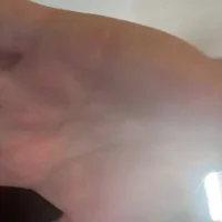 dd81288's Avatar Photo