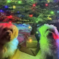 ErlichMarius Gambar Avatar