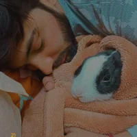 รูปโปรไฟล์ของ HotBhabiSearching