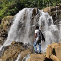 TINU210699s profilbillede