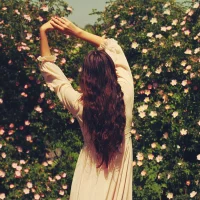 Gambar Profil ShineAsian