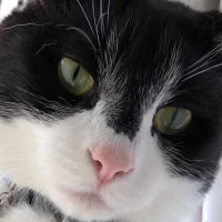 Jakeeeeyy Avatarbild