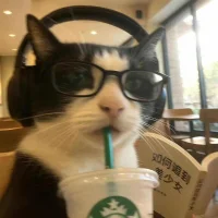 hehua_'s Avatar Pic