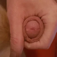 Immagine del profilo di DerWeisser