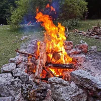 Barnyser's Avatar Pic