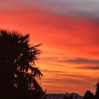 420fredd 아바타 사진