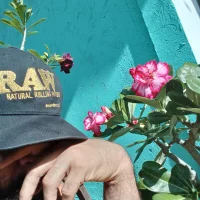Raiat: εικόνα άβαταρ