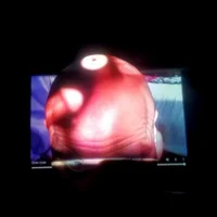 Аватар Rufus5891