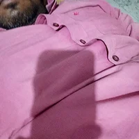 Ms281291's Profile Pic