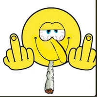 _Nevertomuch_ Avatarbild