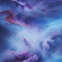 Wild-Fantasy avatarképe