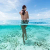 FreeSaddlleForU – Avatar fotka