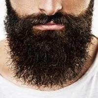 TNTBOSS01 Adlı Modelin Avatarı