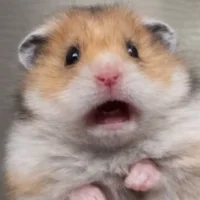 -Trululu's Avatar Pic