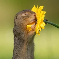 Jookyjookjook Avatarfoto