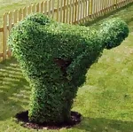 sincir's Avatar Photo