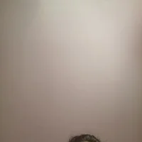 صورة الملف الشخصي لـ Timi_xx