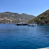 izmir35taser's Avatar Pic