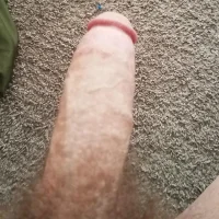 studfireman's Profile Pic