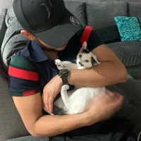 kevinnalgon1's Profile Pic