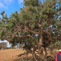 makememoanzzzzzz: εικόνα άβαταρ