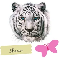 Stripchat profile picture for @pitying