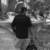 willi_08