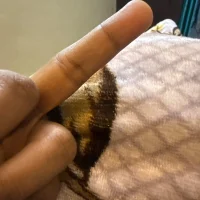 INDIAN69Fuck's Profile Pic