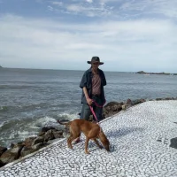 javitoporr avatarbilde