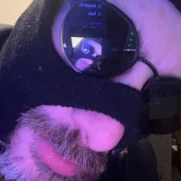 KevGuloso's profilbilde