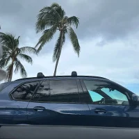 صورة أفاتار not_your_reg