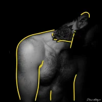 DavidGeyn's Avatar Photo