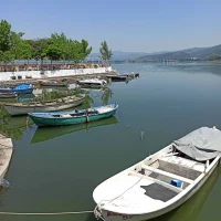 boriszaharyas' Avatar Pic