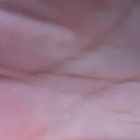 sgagxxx