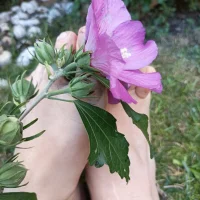 Mandra_is_a_whoreのアバター写真