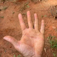 jdog666's Profile Pic