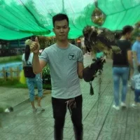 chipkenboo's Profile Pic