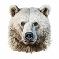 صورة أفاتار Eric_Bear