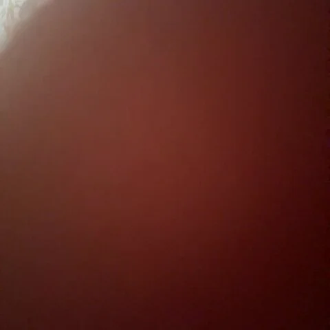 sunitawilliams420 profile photo